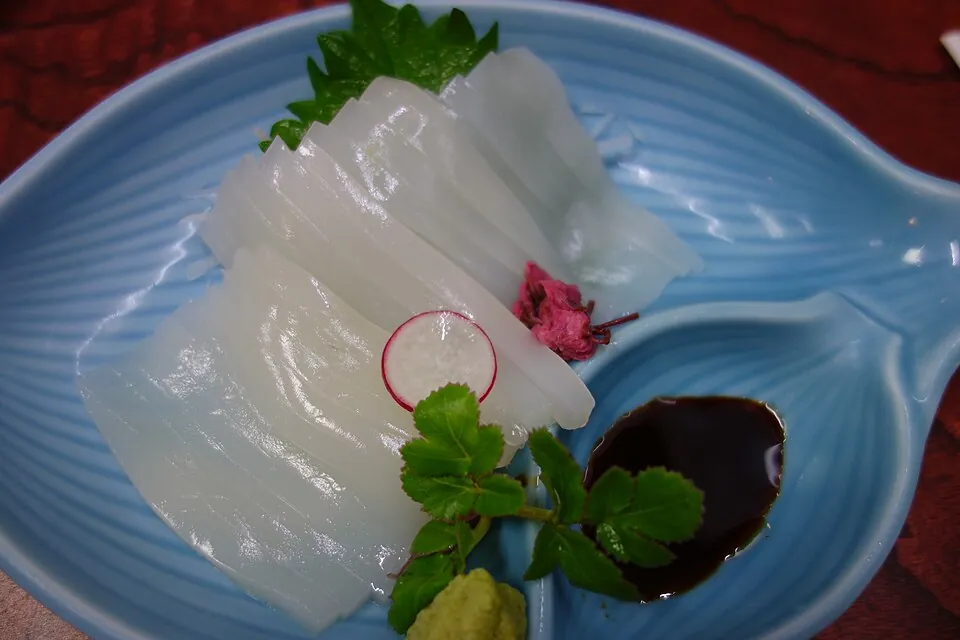 오징어 회 음식 예시 사진