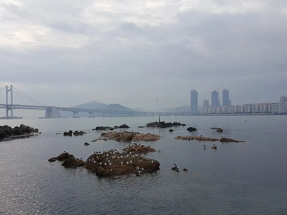 광안리 해변 실제 장소 사진