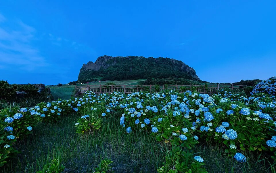 성산일출봉 실제 장소 사진