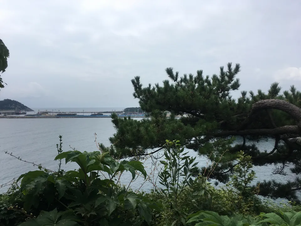 정방폭포 실제 장소 사진